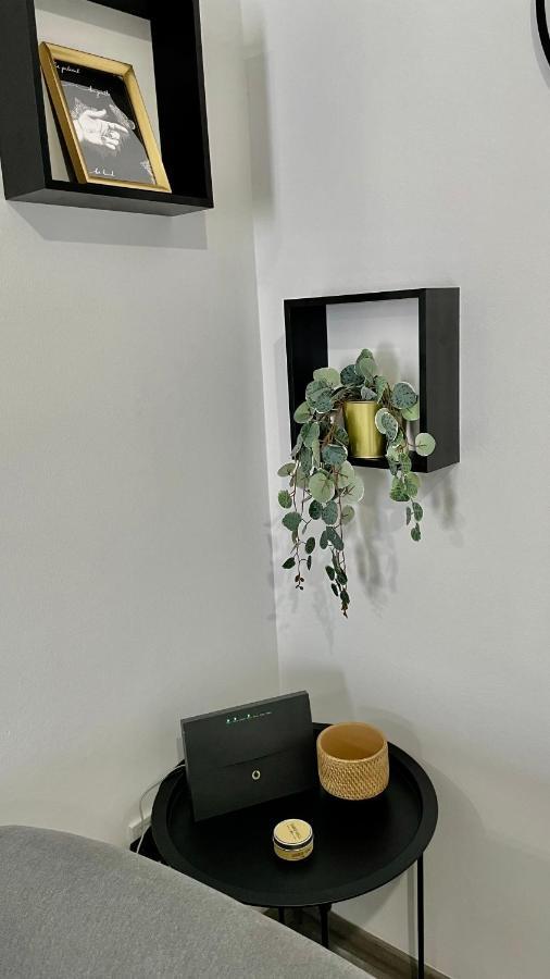 Gorgeous Renovated Apt. Close To Metro And Cultural Sites! Atenas Exterior foto