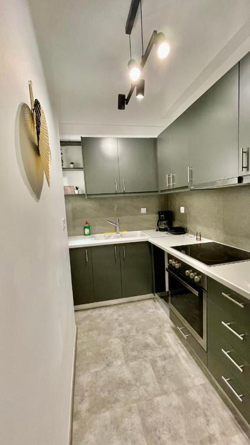Gorgeous Renovated Apt. Close To Metro And Cultural Sites! Atenas Exterior foto