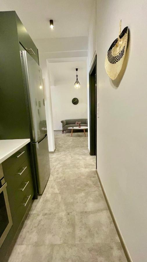 Gorgeous Renovated Apt. Close To Metro And Cultural Sites! Atenas Exterior foto
